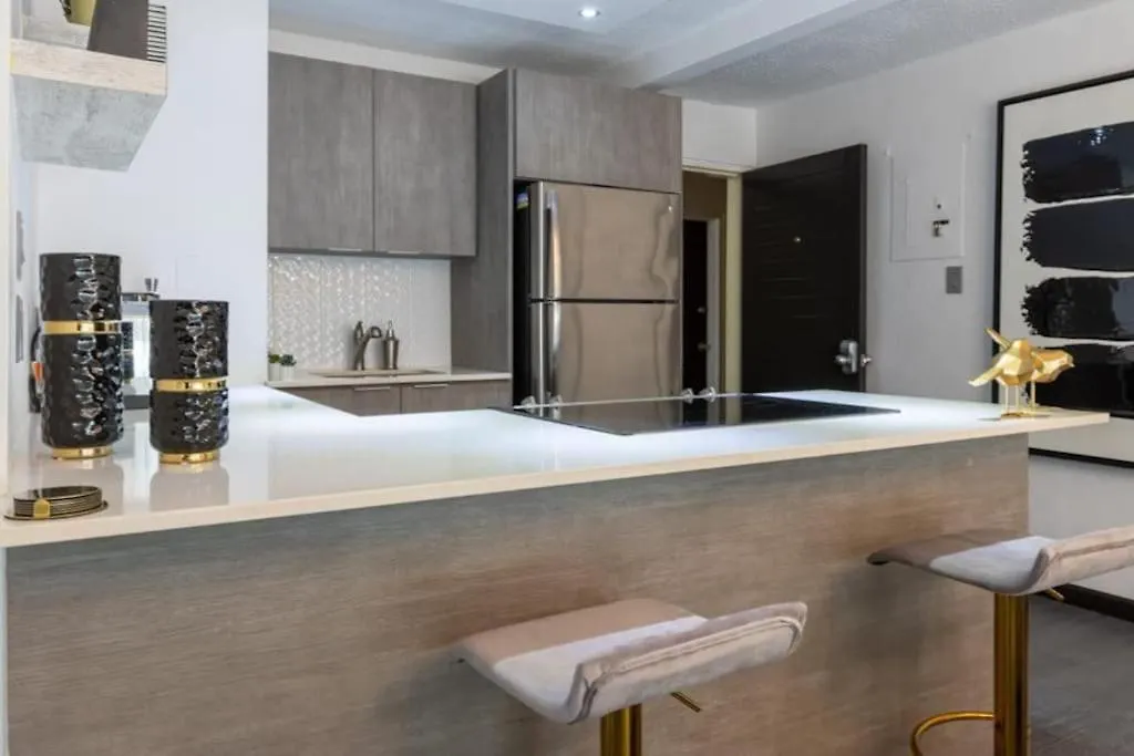 1 Bed 1 Bath 1 Parking Boutique Apt In Rio Piedras San Juan